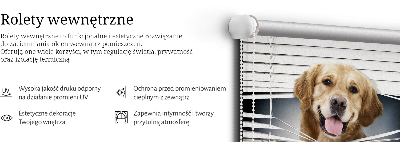 Rolgordijn voor het raam Gouden Hond