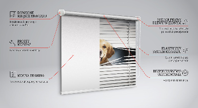 Rolgordijn voor het raam Gouden Hond