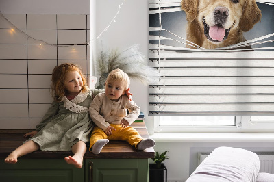 Rolgordijn voor het raam Gouden Hond