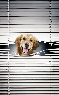 Rolgordijn voor het raam Gouden Hond