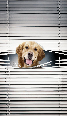 Rolgordijn voor het raam Gouden Hond