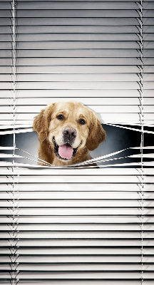 Rolgordijn voor het raam Gouden Hond