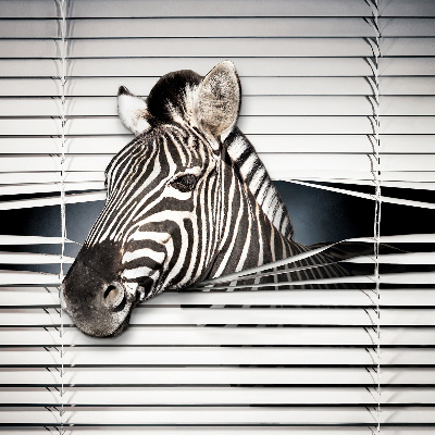 Rolgordijn voor het raam Ribben