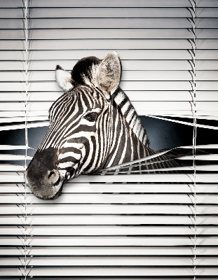 Rolgordijn voor het raam Ribben