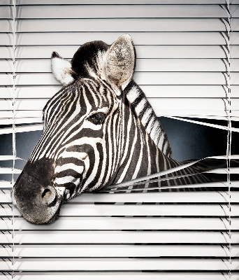 Rolgordijn voor het raam Ribben