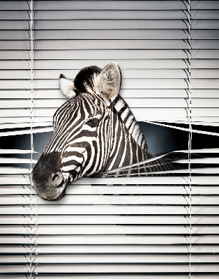 Rolgordijn voor het raam Ribben