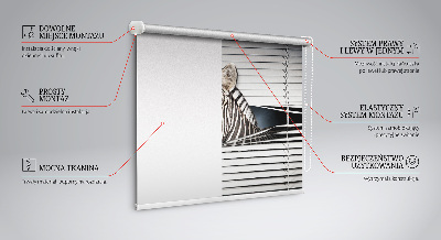 Rolgordijn voor het raam Ribben