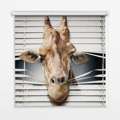 Rolgordijn verduisterend Giraffe