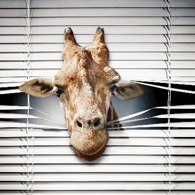 Rolgordijn verduisterend Giraffe