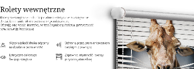 Rolgordijn verduisterend Giraffe