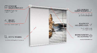 Rolgordijn verduisterend Giraffe