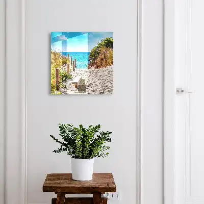 Kustpad langs de zee