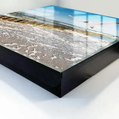 Zeegebied met een zeemeeuw op het strand