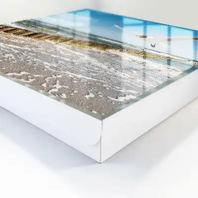 Zeegebied met een zeemeeuw op het strand