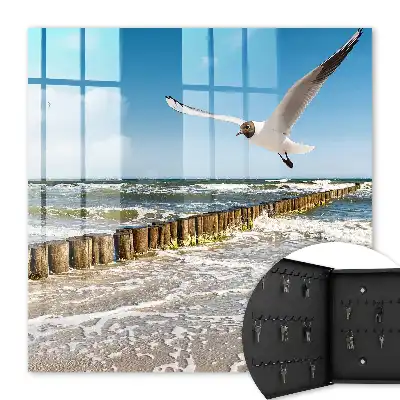 Zeegebied met een zeemeeuw op het strand