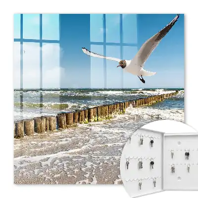Zeegebied met een zeemeeuw op het strand
