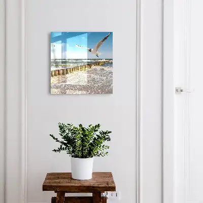 Zeegebied met een zeemeeuw op het strand