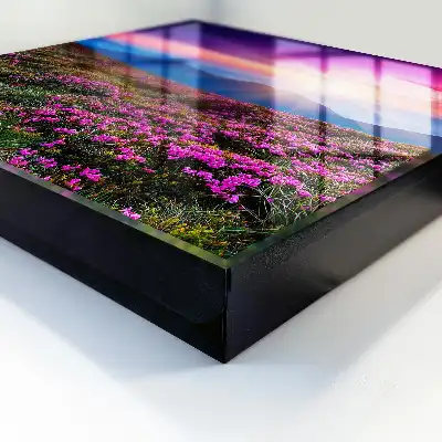 Een ochtend in de bergen in intense kleuren