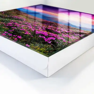 Een ochtend in de bergen in intense kleuren