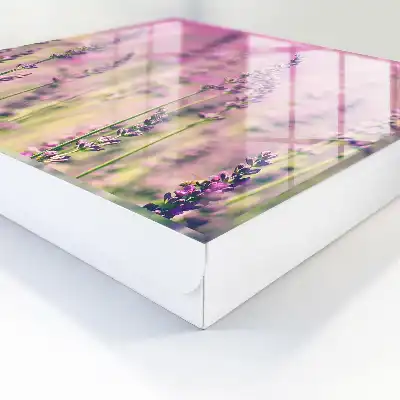 Een paarse tuin op een zomerdag