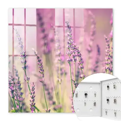 Een paarse tuin op een zomerdag