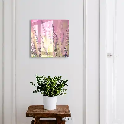 Een paarse tuin op een zomerdag