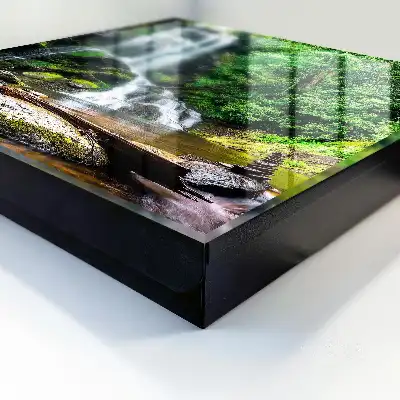 Een natuurlijke oase van weelderig groen