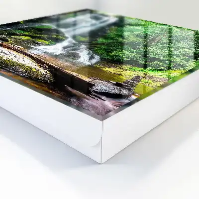 Een natuurlijke oase van weelderig groen