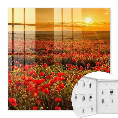 Klaproosvelden bij zonsondergang