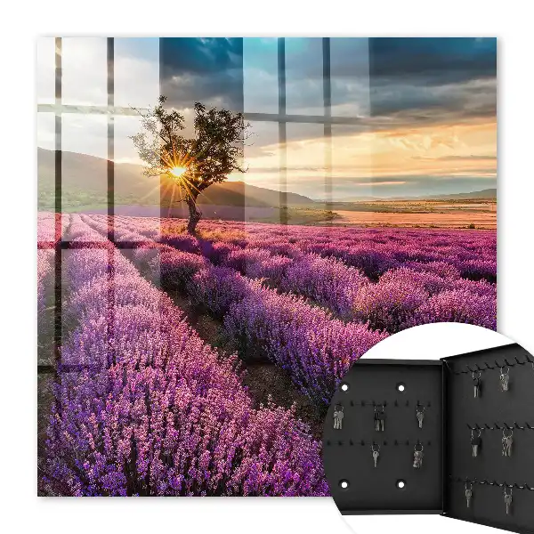Lavendelzonsondergang