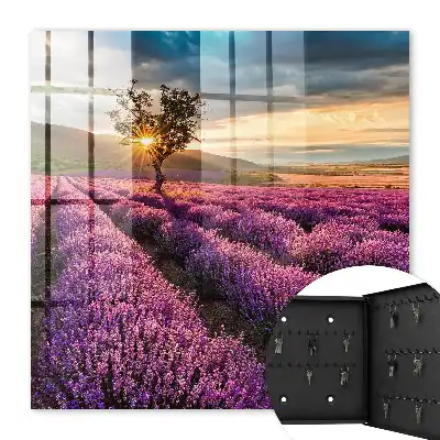 Lavendelzonsondergang