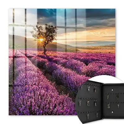 Lavendelzonsondergang