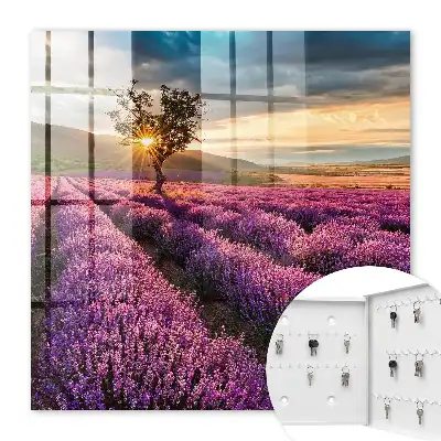 Lavendelzonsondergang