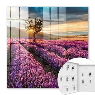 Lavendelzonsondergang
