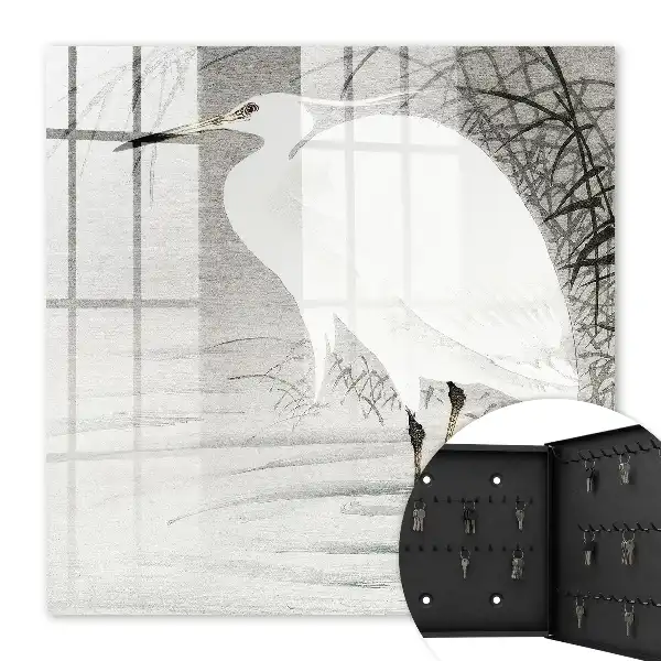 Grijze grasreiger
