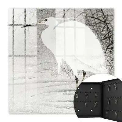 Grijze grasreiger