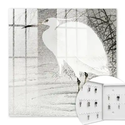 Grijze grasreiger