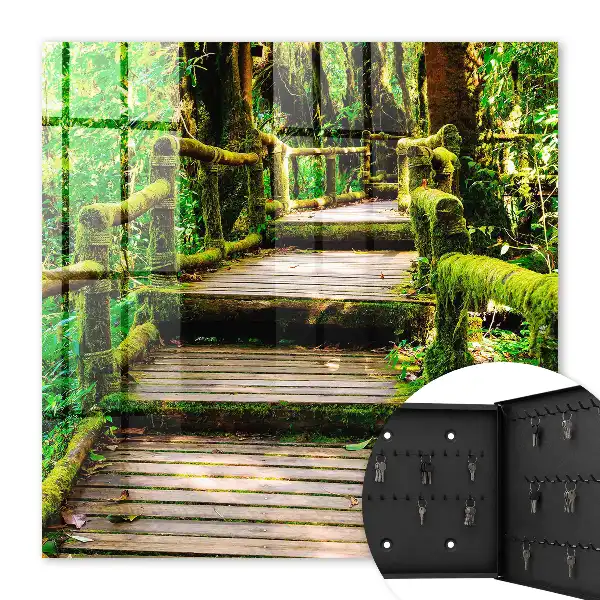 Bosbrug in het groene bos