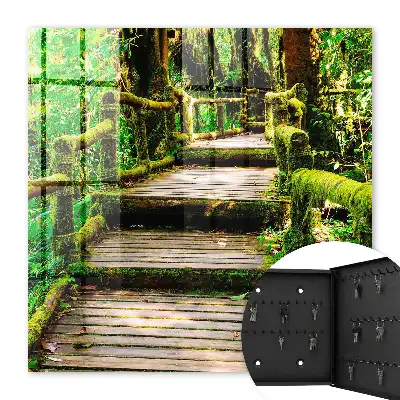 Bosbrug in het groene bos