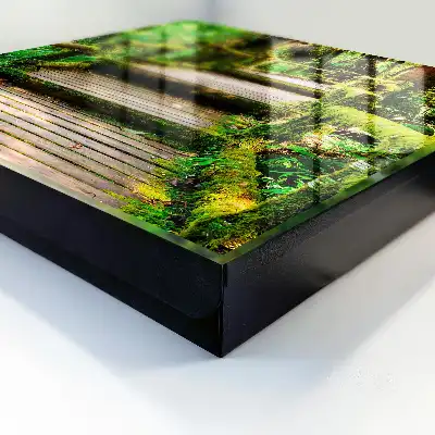 Bosbrug in het groene bos