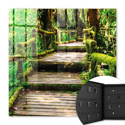 Bosbrug in het groene bos