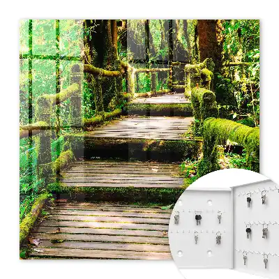 Bosbrug in het groene bos