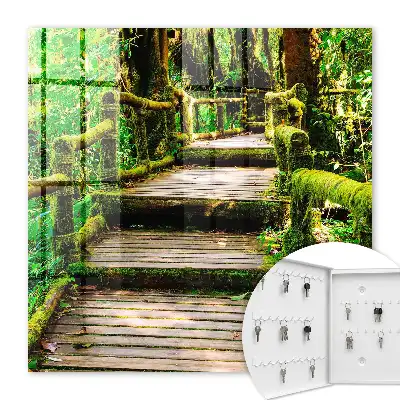 Bosbrug in het groene bos