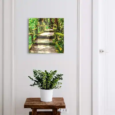 Bosbrug in het groene bos