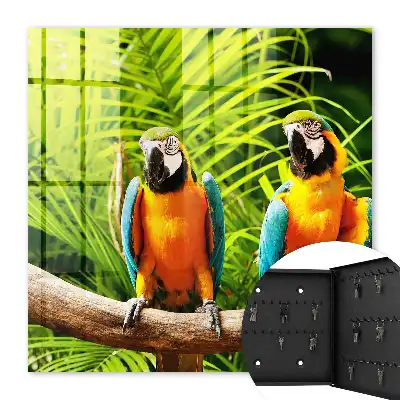Tropische groene bladvogels