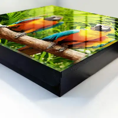 Tropische groene bladvogels