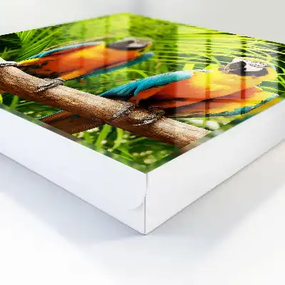 Tropische groene bladvogels
