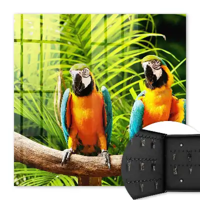 Tropische groene bladvogels