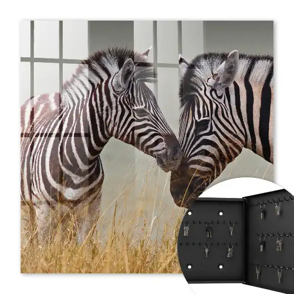 Zebra's bij elkaar op een beige achtergrond