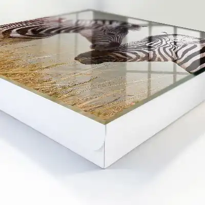 Zebra's bij elkaar op een beige achtergrond